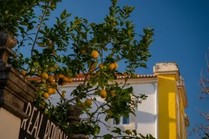 Where to Eat in Coimbra: Your Guide to Best Restaurants, Cafes & Local Dishes