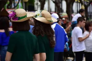 Where to Stay in Madeira: Choosing Your Perfect Base (Funchal, Calheta &amp; More)