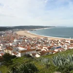 Best Things to Do in Setubal: From Dolphins to Delicious Seafood