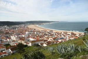 Best Things to Do in Setubal: From Dolphins to Delicious Seafood