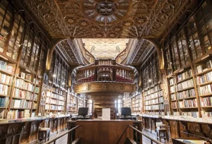 Best Day Trips from Porto: Your Ultimate Guide to Northern Portugal