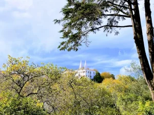 How to Get to Sintra from Lisbon: Train, Bus, Car &amp; Tour Options Explained
