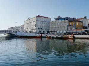 NHR Tax Regime Explained: A Digital Nomad’s Simple Guide to Portuguese Taxes