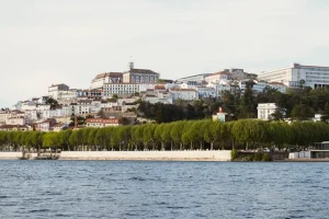 The Joanina Library: Unlocking Coimbra’s Baroque Masterpiece