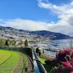 Best Neighborhoods in Funchal: Where to Stay for Your Madeira Trip