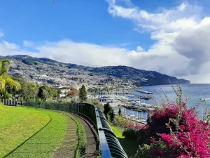 Best Neighborhoods in Funchal: Where to Stay for Your Madeira Trip