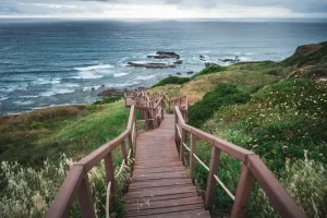 Mastering Portuguese Pronunciation: A Traveler’s Guide to European Sounds