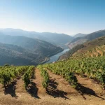 Portugal’s Coast in June 2026: Beaches, Sun, and Sea