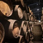 10 Unforgettable Day Trips from Porto You Can’t Miss