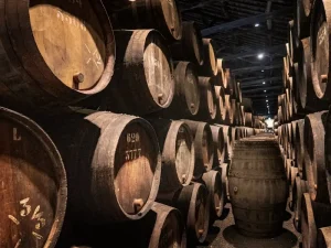 10 Unforgettable Day Trips from Porto You Can’t Miss