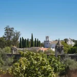 Evora Wine Tours: A Guide to the Best Alentejo Vineyards