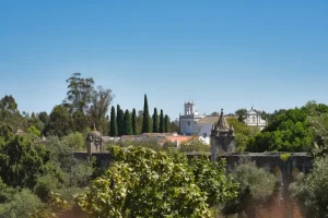 Evora Wine Tours: A Guide to the Best Alentejo Vineyards