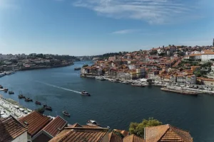 Mercado do Bolhão: Your Guide to Porto’s Most Iconic Market