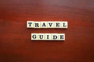 Tipping in Portugal: A Traveler’s Guide to Local Customs