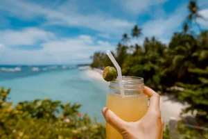 A Traveler’s Guide to Vinho Verde Wineries &amp; Tastings