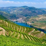 Douro Valley Travel Guide: Wine Estates, River Cruises &amp; Scenic Drives