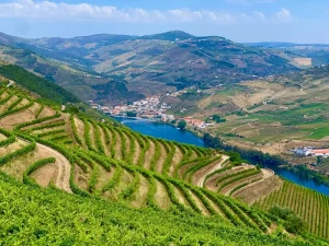 Douro Valley Travel Guide: Wine Estates, River Cruises &amp; Scenic Drives