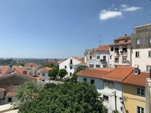 Exploring Coimbra: Your Essential Guide to Every Major District