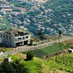 Funchal City Guide: Top Attractions, Restaurants, and Things to Do