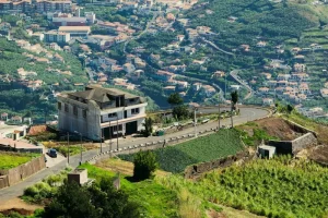 Funchal City Guide: Top Attractions, Restaurants, and Things to Do
