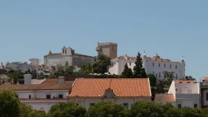 Portugal in September 2026: Golden Light and Vineyard Visits