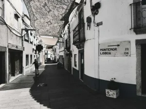 Riding the Moliceiros: A Guide to Aveiro’s Canals and Boats