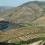 Azores Travel Guide: The Ultimate Island Hopping Itinerary