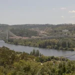 Coimbra’s Authentic Flavors: Best Traditional Portuguese Restaurants