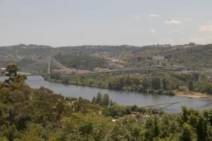 Coimbra’s Authentic Flavors: Best Traditional Portuguese Restaurants