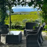Comporta Travel Guide: Portugal’s Bohemian Beach Escape