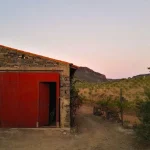 Discover Comporta: Portugal’s Chicest Beach Escape