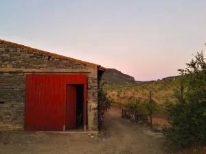 Discover Comporta: Portugal’s Chicest Beach Escape