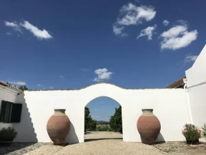 Discovering Arrábida Natural Park: A Gem Near Setubal