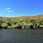 Hiking in the Azores: Best Trails on São Miguel and Beyond