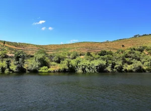 Hiking in the Azores: Best Trails on São Miguel and Beyond