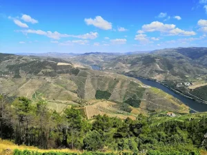Hot Springs in the Azores: Where to Find Thermal Bliss