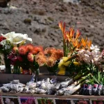 Mercado dos Lavradores: A Shopper’s Guide to Funchal’s Iconic Market