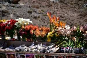 Mercado dos Lavradores: A Shopper’s Guide to Funchal’s Iconic Market