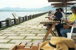 Portugal Co-working Spaces: Find Your Perfect Remote Office