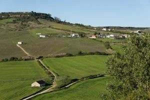 Portugal in October 2026: Savoring Seasonal Delights and Mild Weather