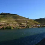 Setubal Travel Guide: Beaches, Dolphins &amp; Gastronomy