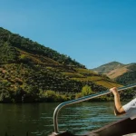 Whale Watching in the Azores: Best Time &amp; Tours